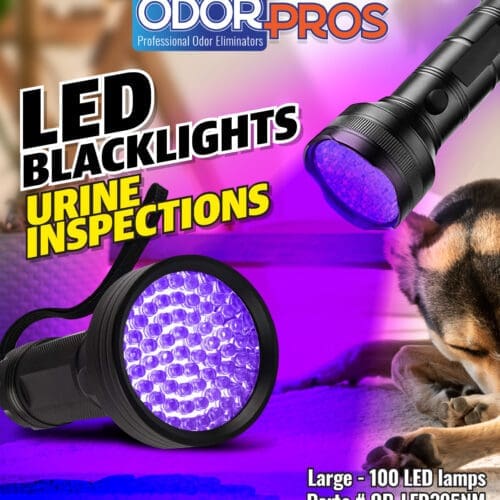 LED Blacklight Blacklight-Flashlight Store Panel